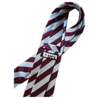 Silk Tie with UCL Logo