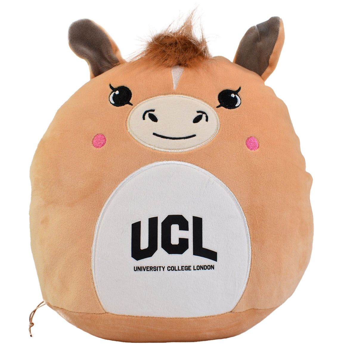 UCL Squidgy