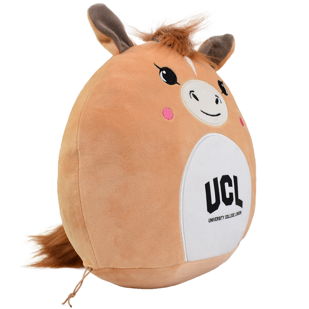 UCL Squidgy