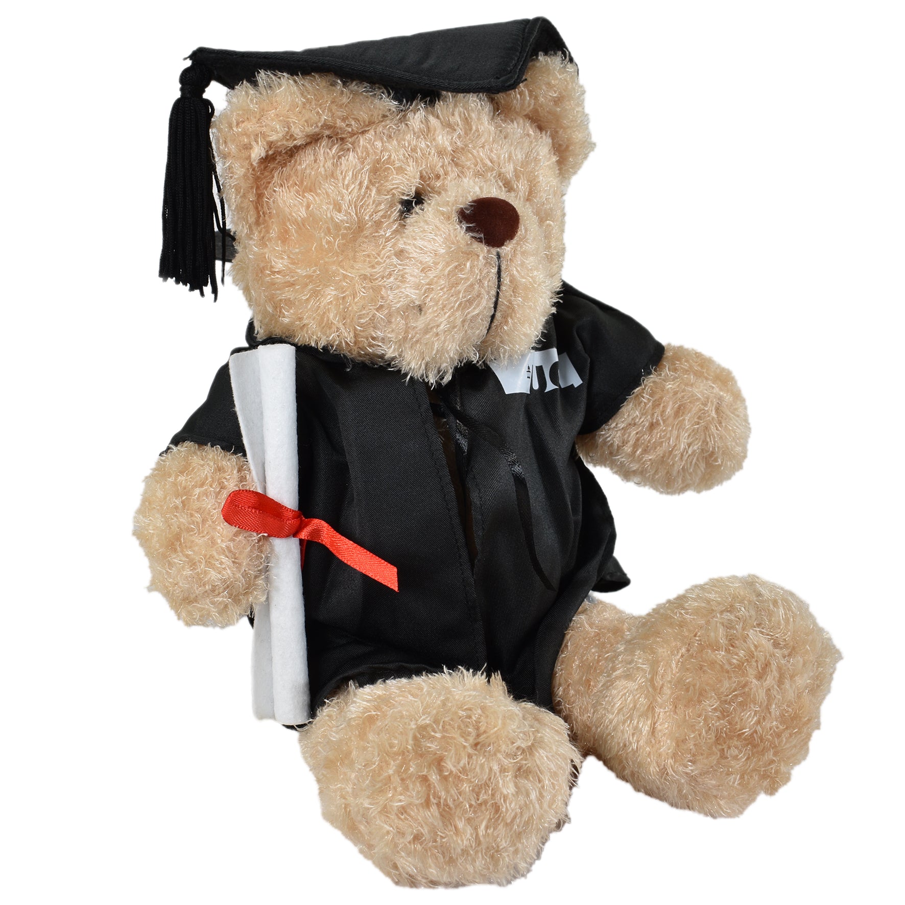 Graduation Jeremy Beartham Teddy