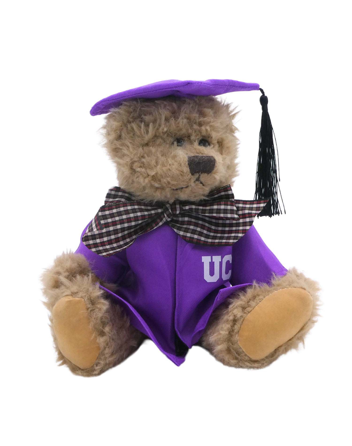 Teddy Bear Purple - Cap & Gown
